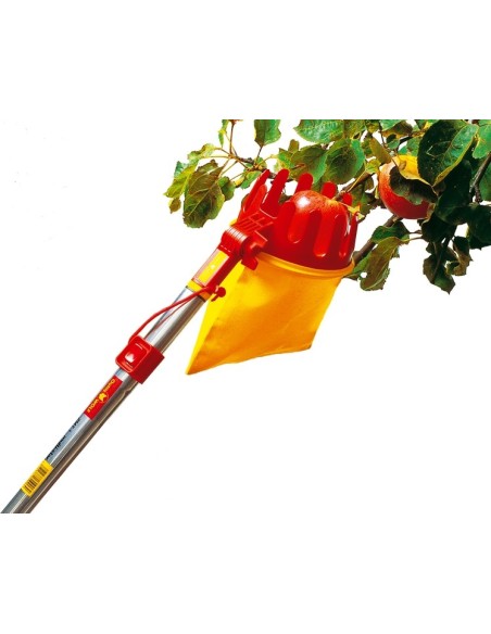 Cueille fruit WOLF SBM